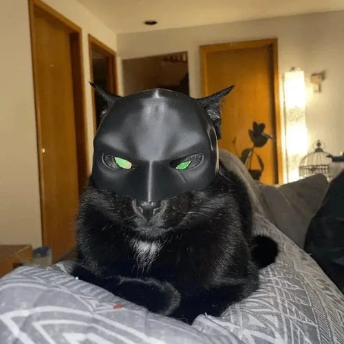 BatPaws – Superhero Pet Mask