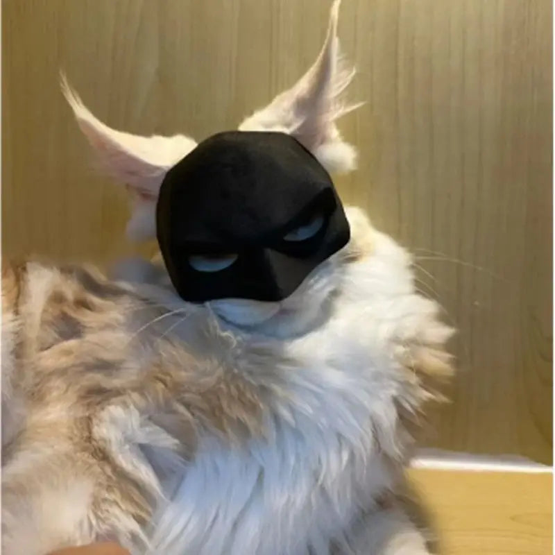 BatPaws – Superhero Pet Mask
